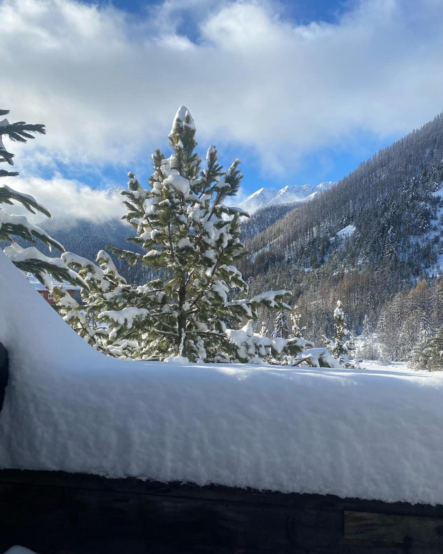 Le Chalet Des Sommets Arvieux Dış mekan fotoğraf